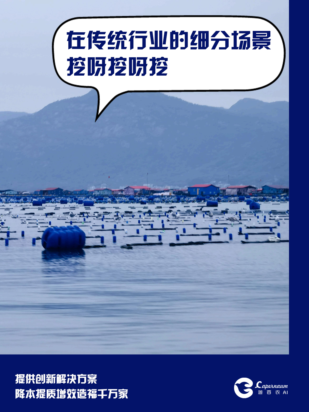业务领域.jpg